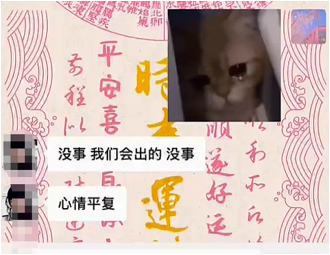 神豪力挺张晚樱，喊话官方：请给我出帝王套